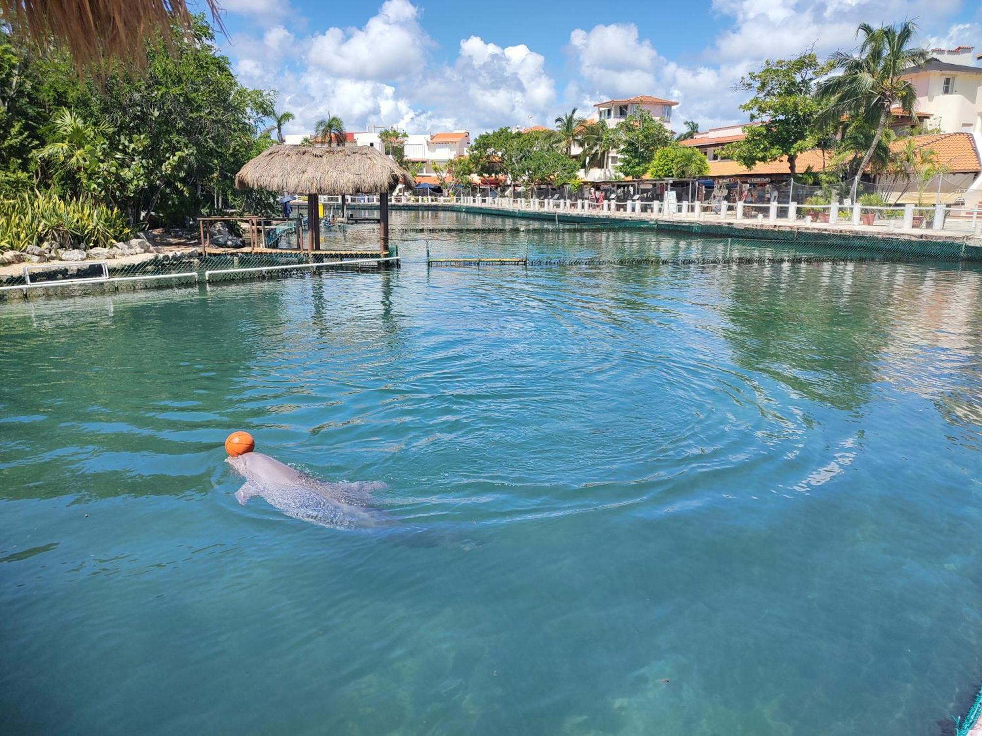 Private Rooms In A Hotel-Type Apartment - Super Located Puerto Aventuras Exterior photo